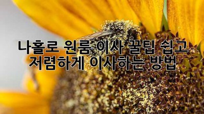 나홀로 원룸 이사 꿀팁🍯: 쉽고 저렴하게 이사하는 방법!